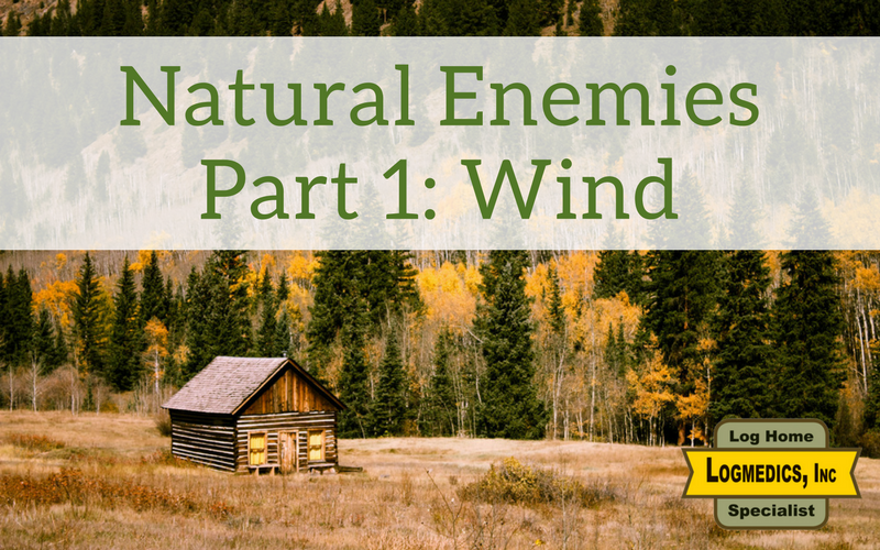 Natural Enemies Part 1: Wind